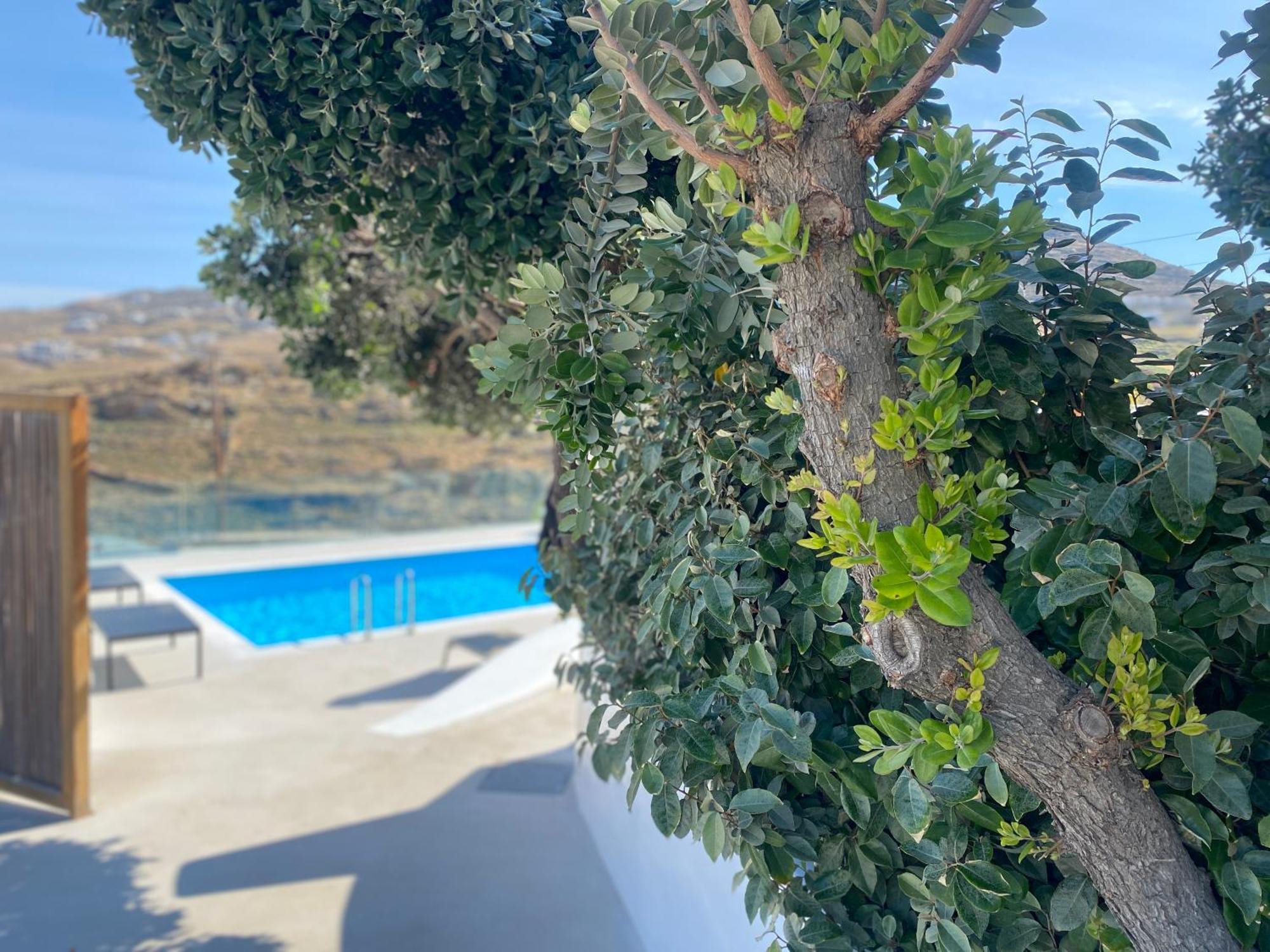 Ftelia Beach Paradise - Villa Irina'S Oasis Екстериор снимка